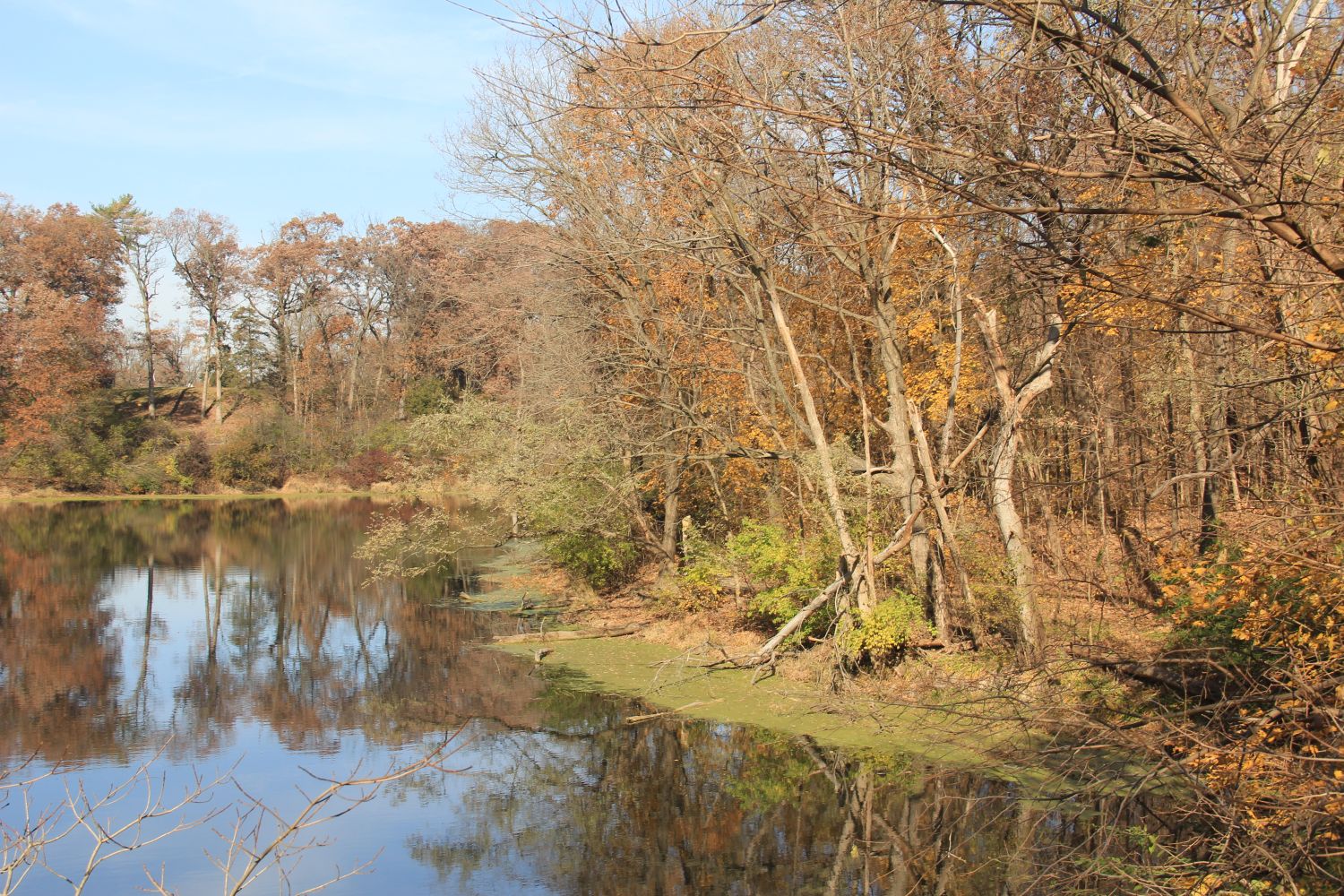 Matthiessen 